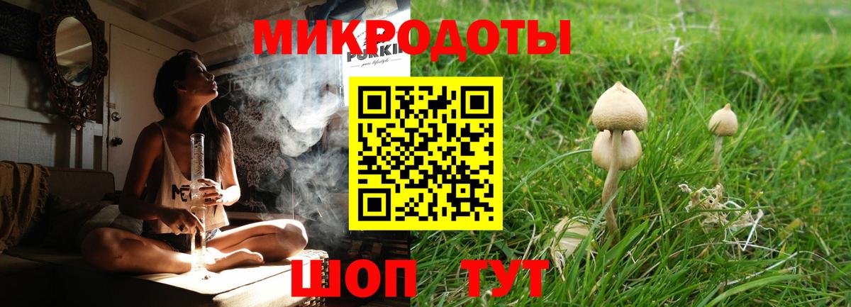 Пыть-Ях  Галлюциногенные грибы MAGIC MUSHROOMS  Вход с VPN 